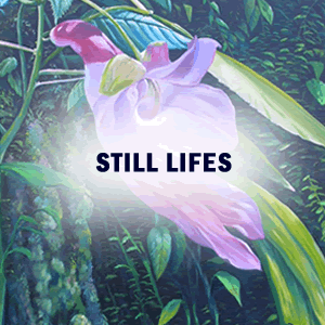 Still Lifes